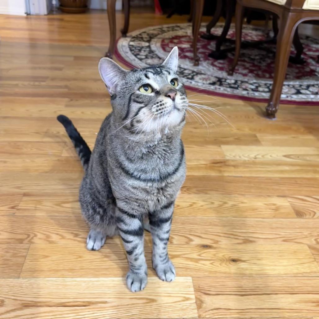 Tate — thumbnail 5