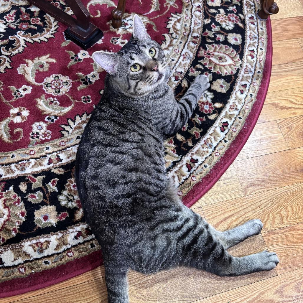 Tate — thumbnail 6