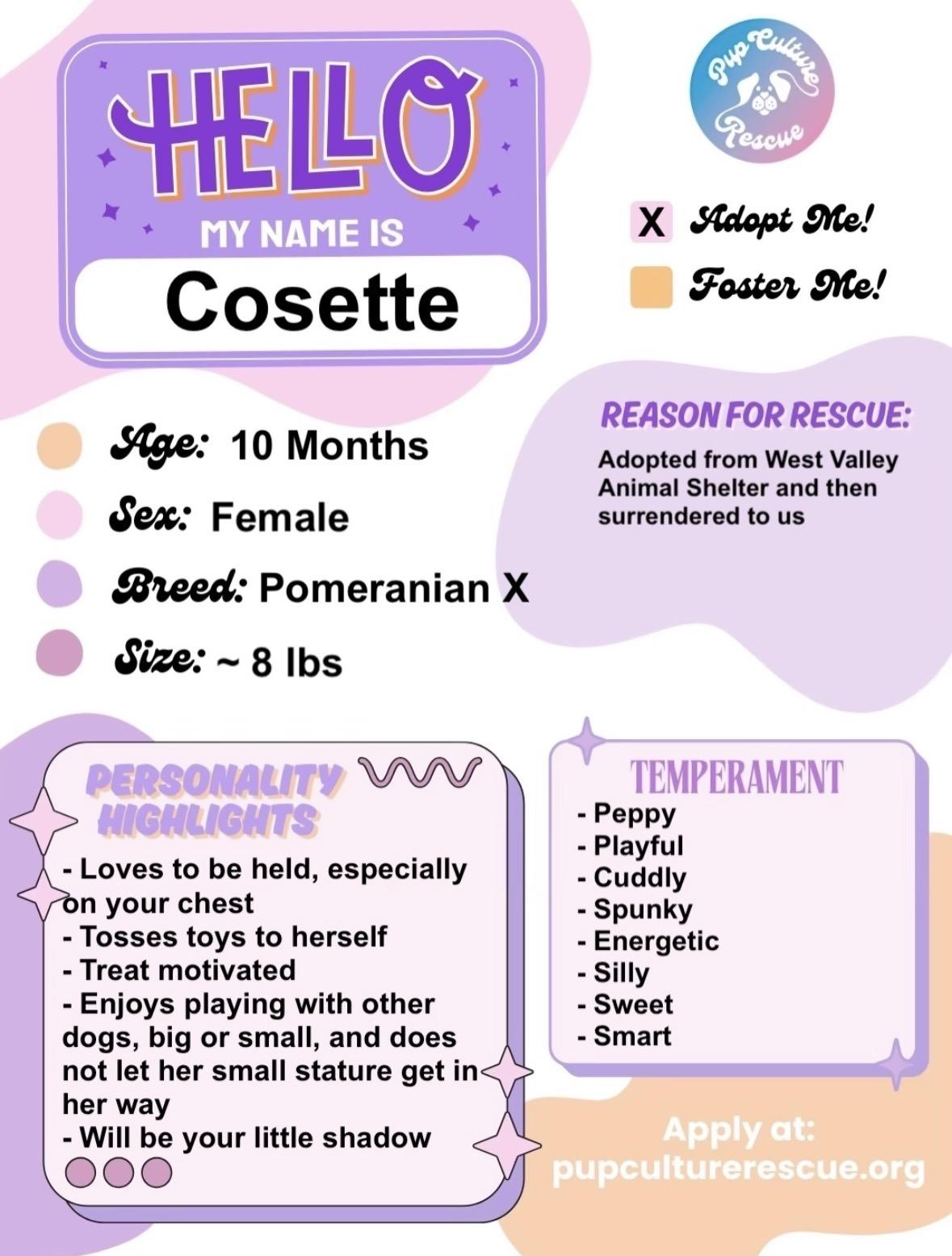 Enlarge Cosette, a ADOPTABLE mixed breed in Pasadena, CA image 2/6