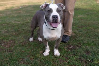 Junior — thumbnail 2