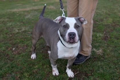 Junior — thumbnail 3