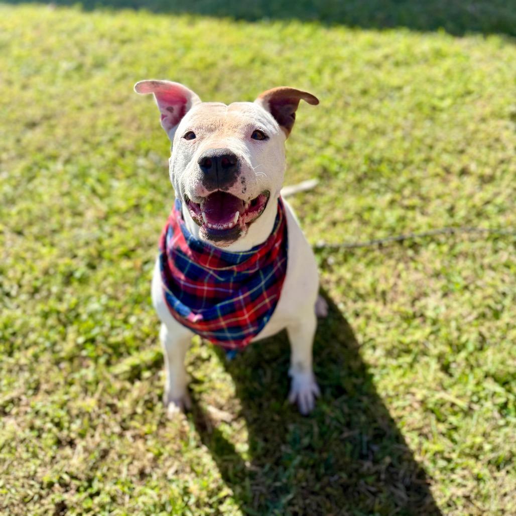 Mazda — thumbnail 2