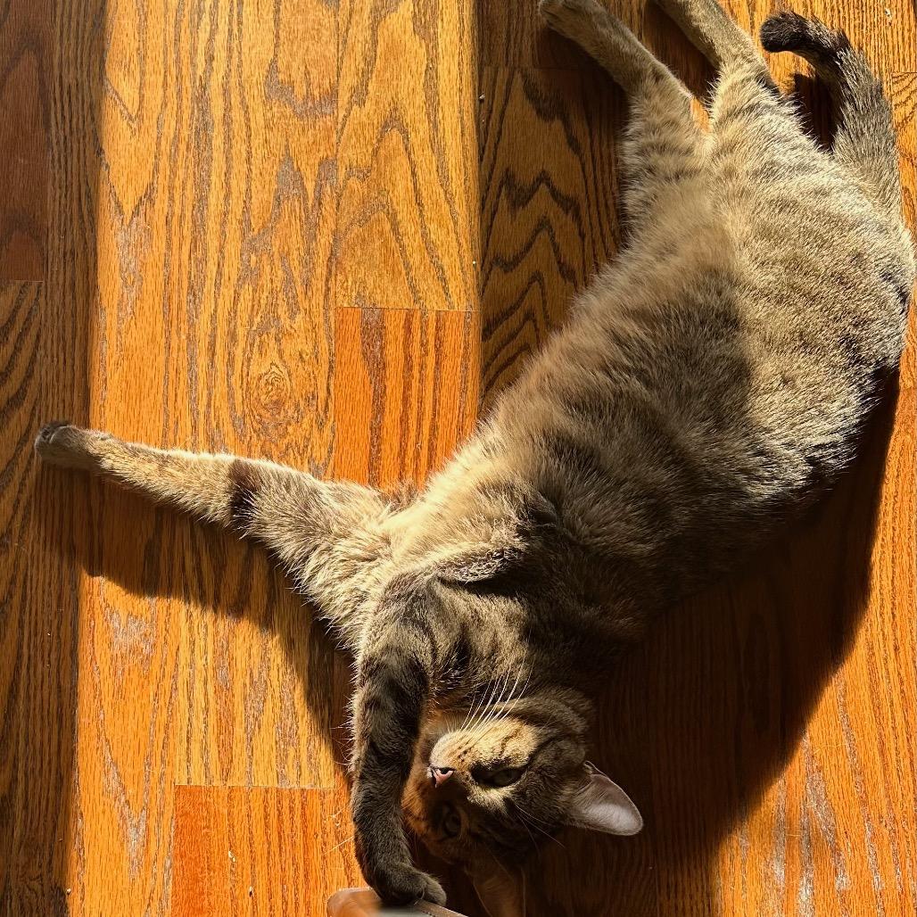 Shadow 4 — thumbnail 2