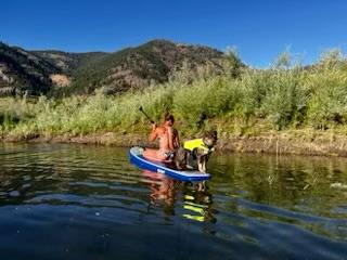 Enlarge Tyke - Courtesy Listing see info, a Adoptable mixed breed in Polson, MT image 5/6