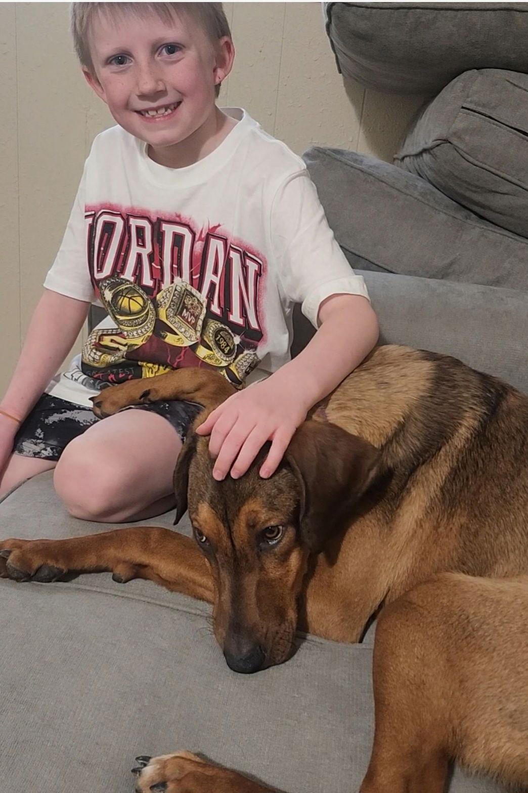 Enlarge Vinni, a Adoptable Doberman Pinscher in Salt Lake City, UT image 2/3