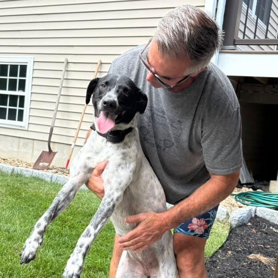 Enlarge Charlie, a Adopted Mixed Breed in Manchester, NH image 6/6