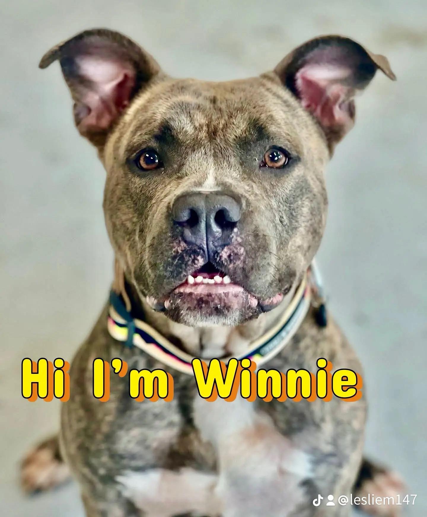 Winnie