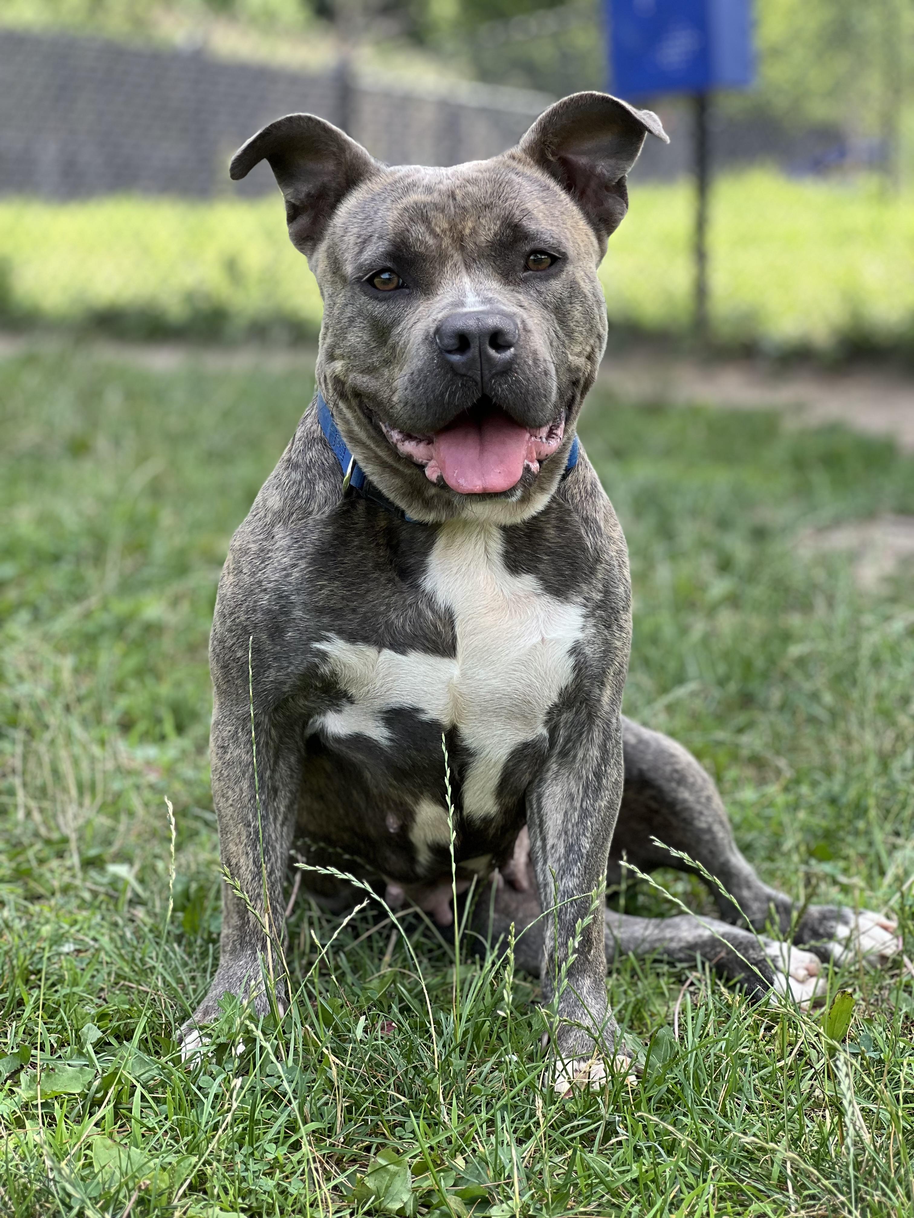 Winnie