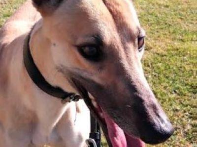 Tammy (aka Tamaro Bale)