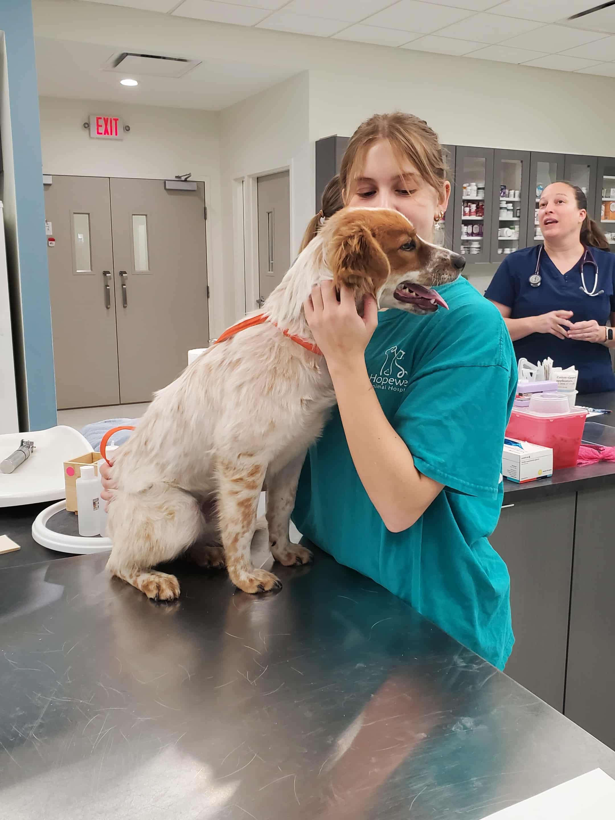 Enlarge Alexis - Paws Behind Bars Prison Trained, a ADOPTABLE mixed breed in Goshen, KY image 4/4