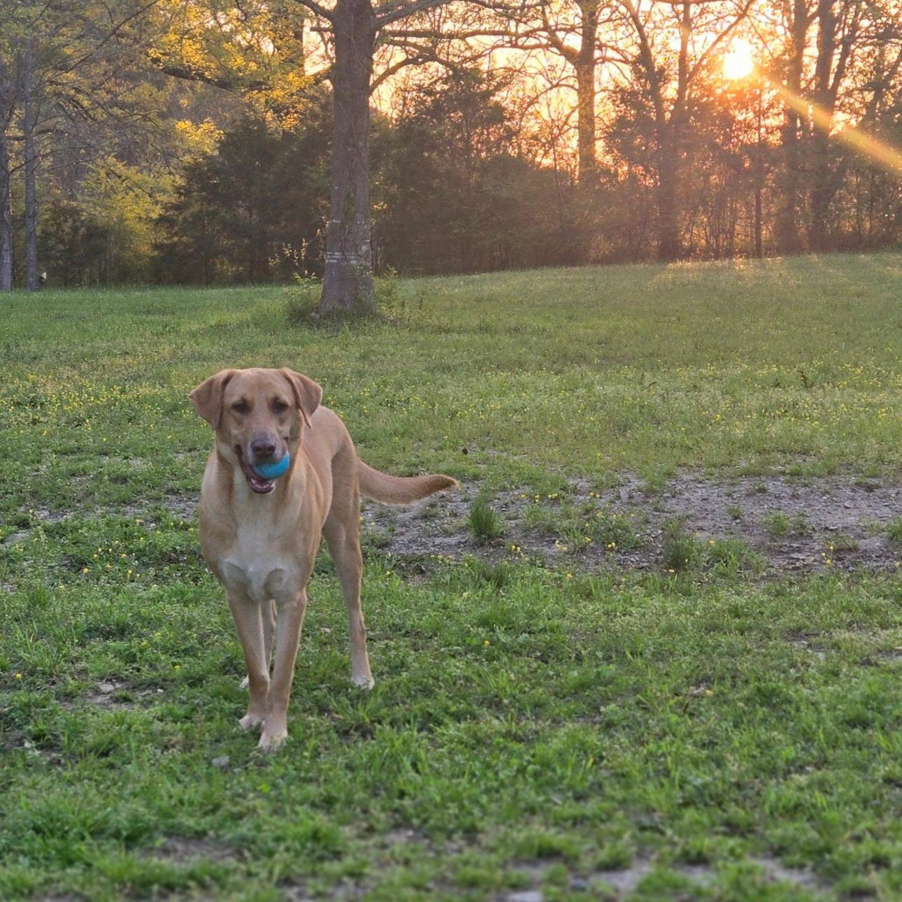 Lilly photo 4