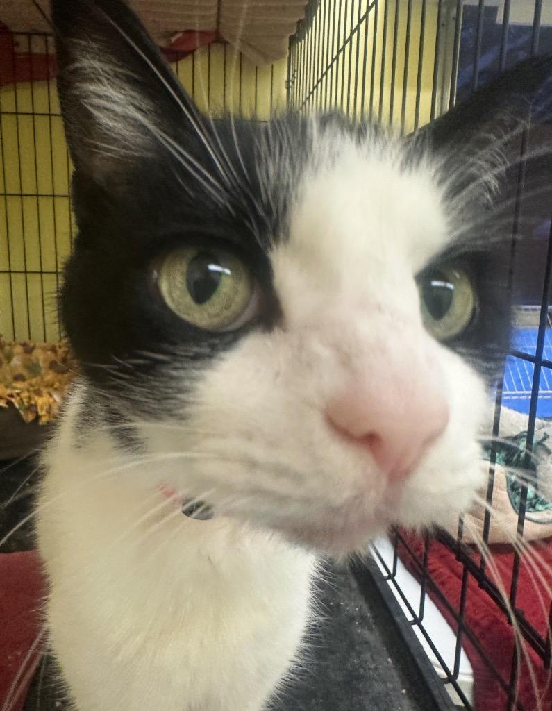 BEEKS — thumbnail 2