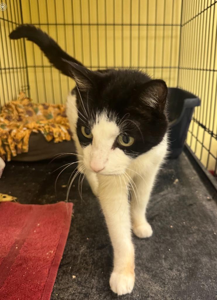 BEEKS — thumbnail 3