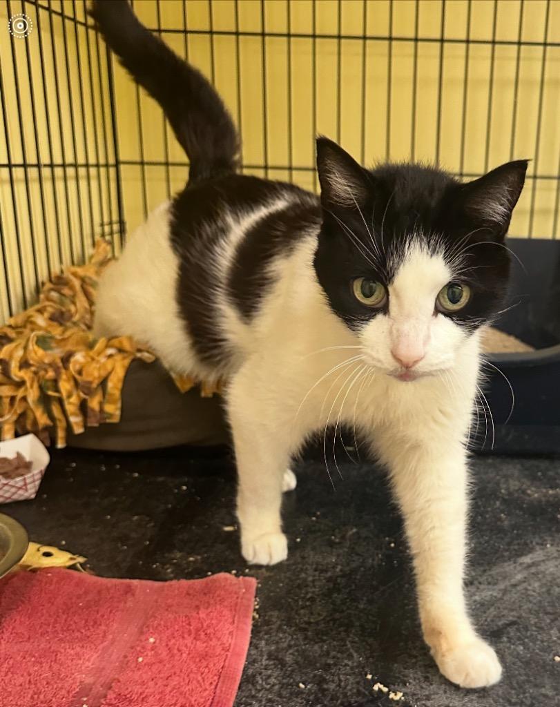 BEEKS — thumbnail 5