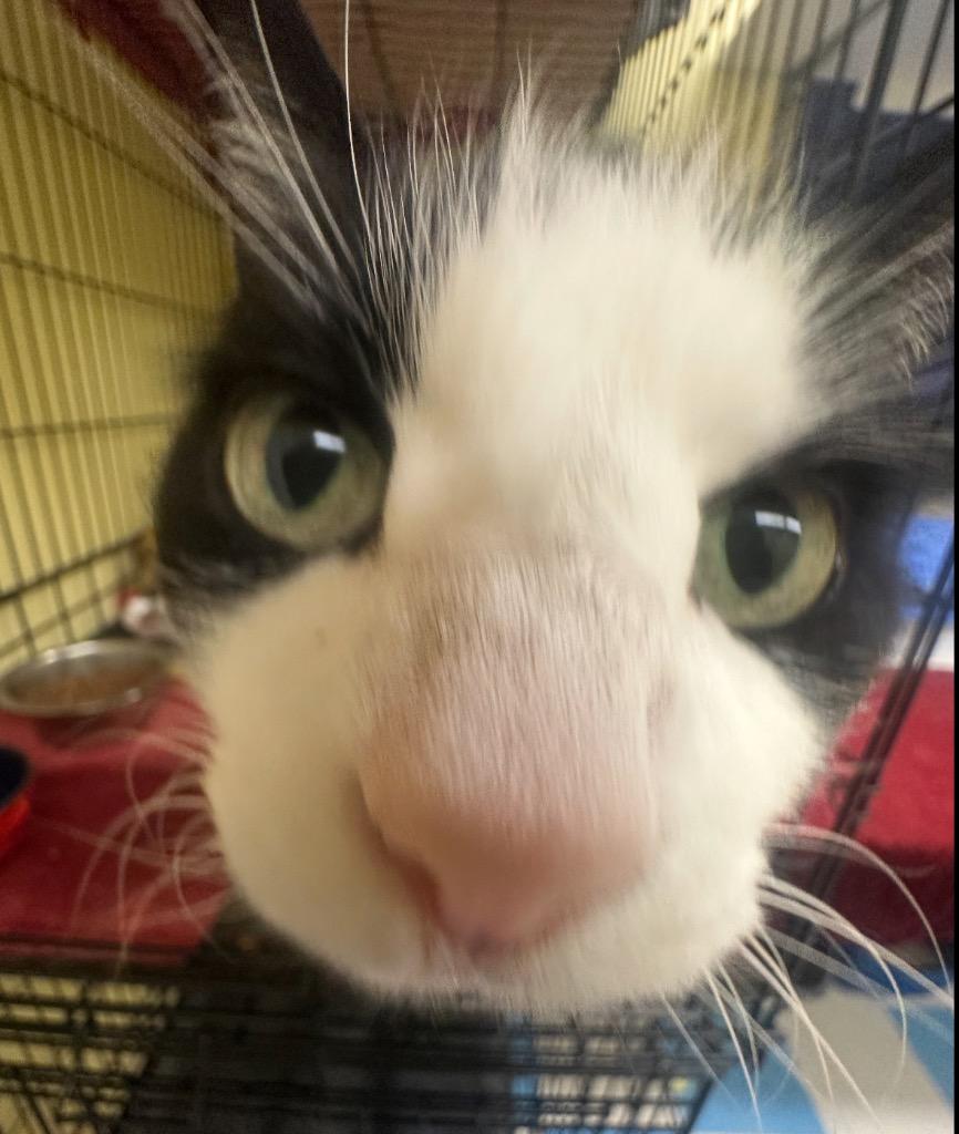 BEEKS — thumbnail 6