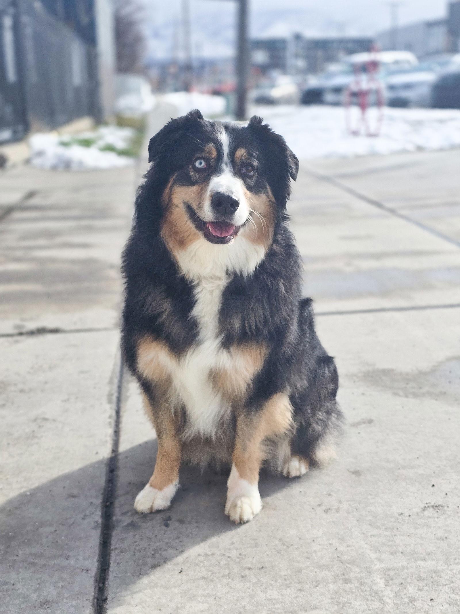 Liio — thumbnail 2