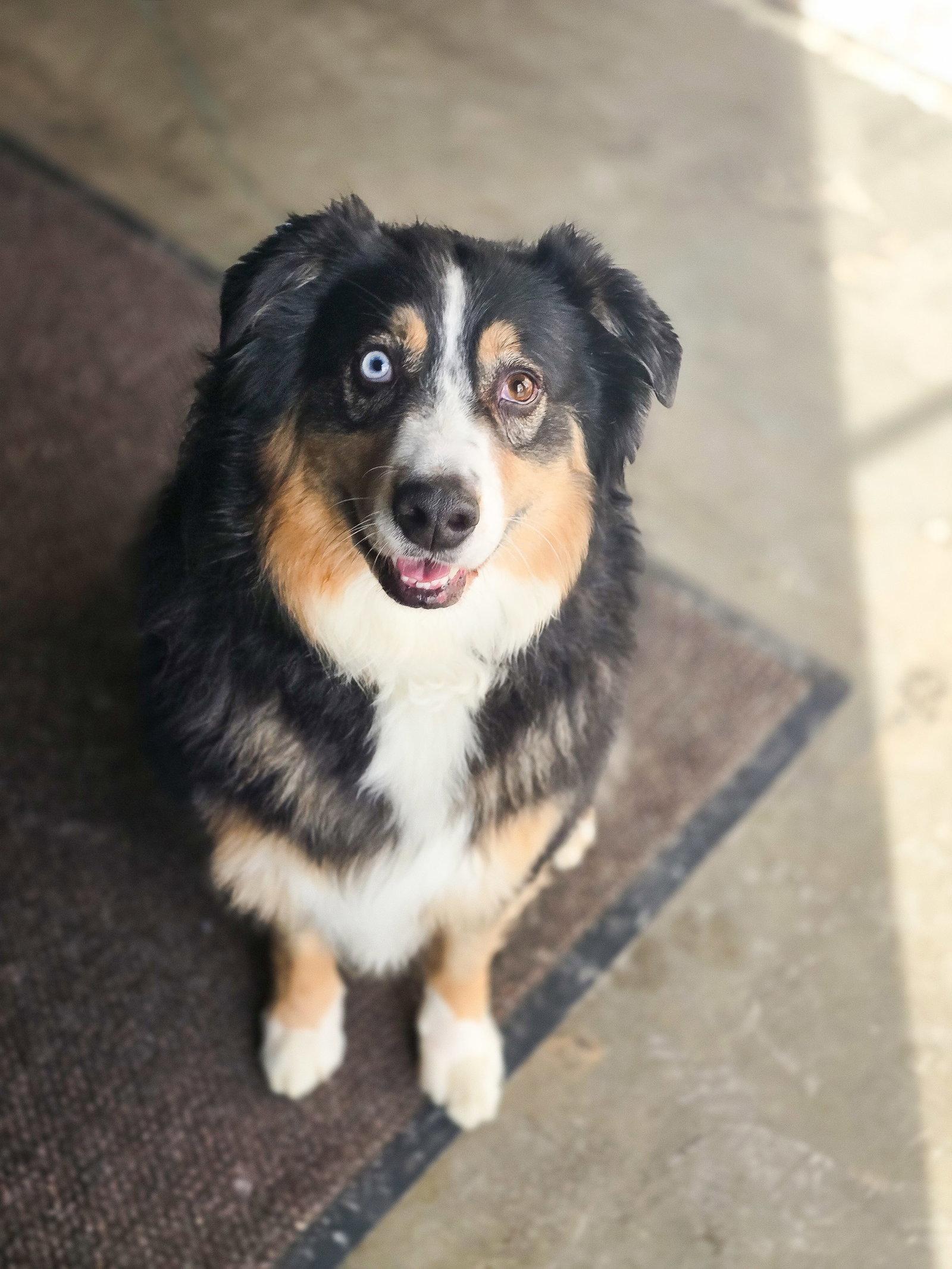 Liio — thumbnail 3