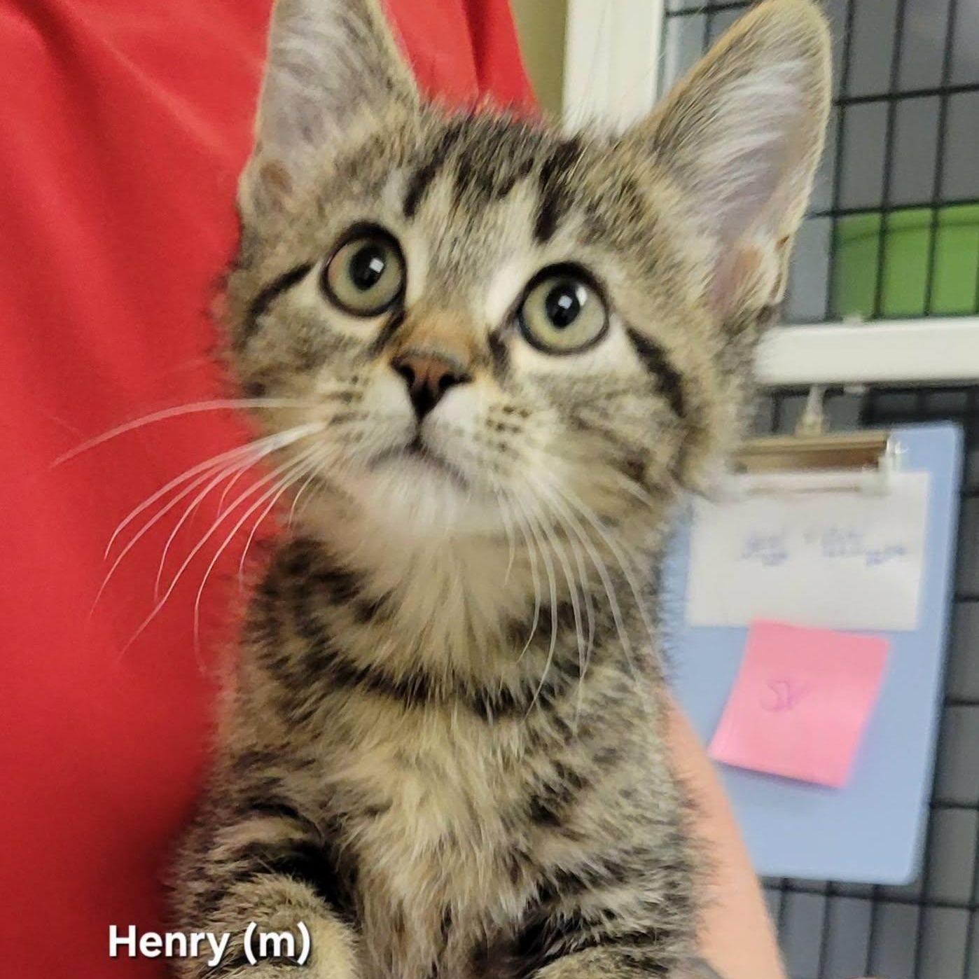 Henry