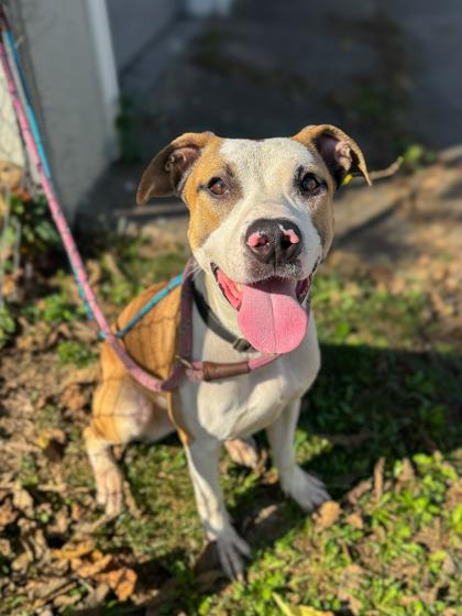 Nick Chubb thumbnail 2