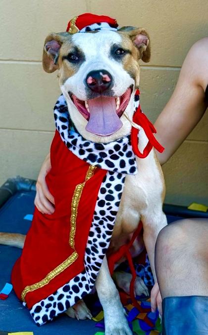 Nick Chubb thumbnail 4