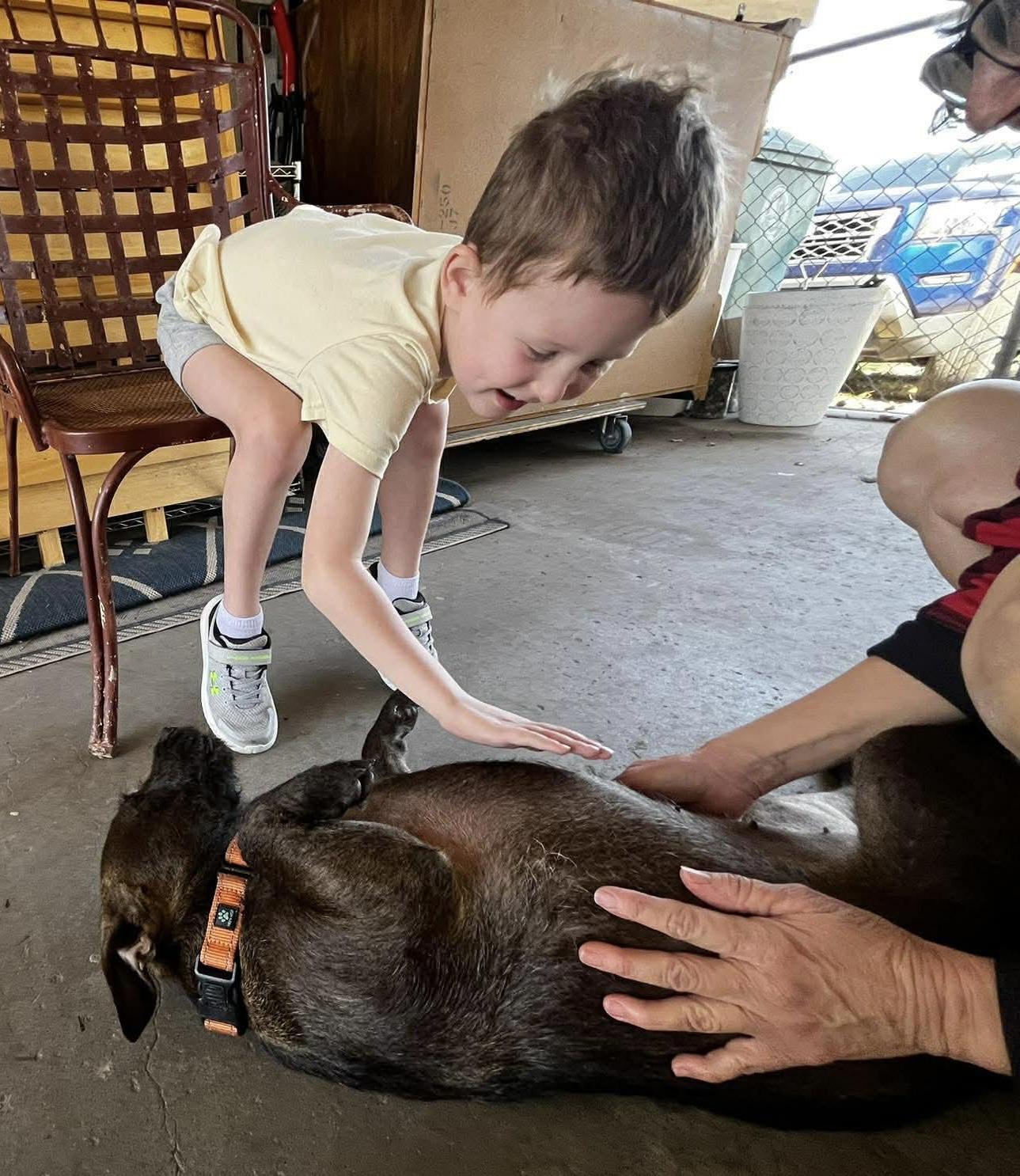 Baby Girl Gorda, an adopted mixed breed in Denver, CO image 2/6