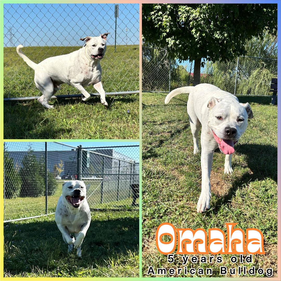 Omaha