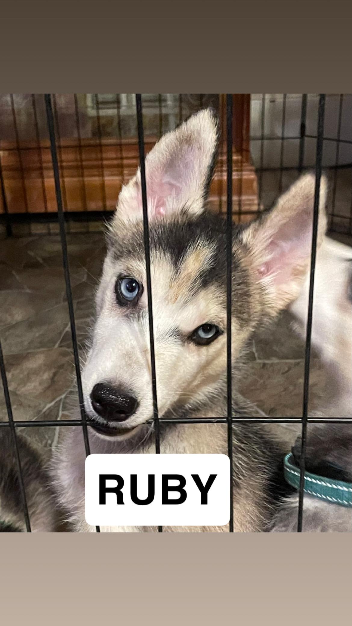 Ruby