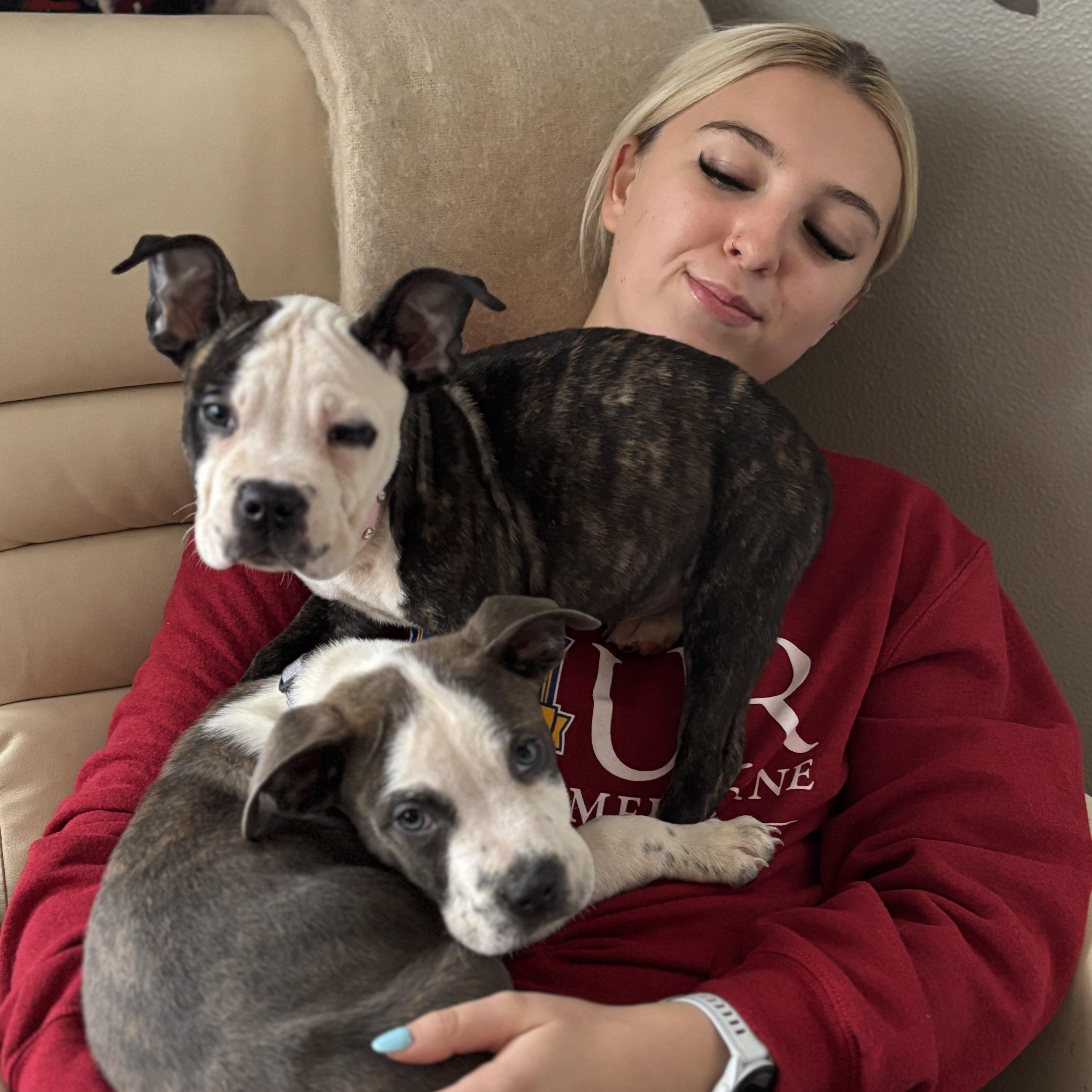 Enlarge Blossom, an adopted mixed breed in CHURCHVILLE, NY image 2/4