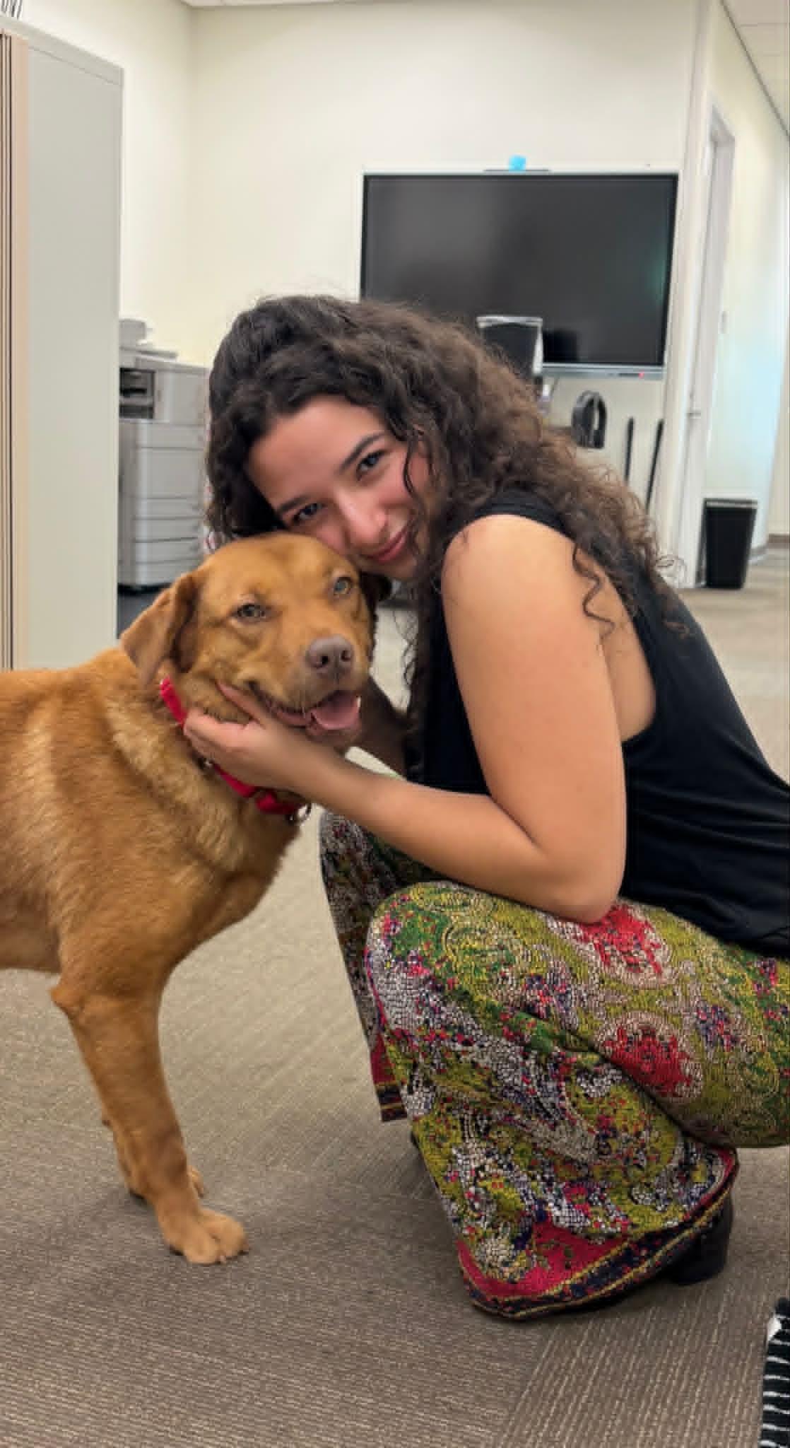 Casey, a ADOPTABLE mixed breed in Colonial Heights, VA image 5/6