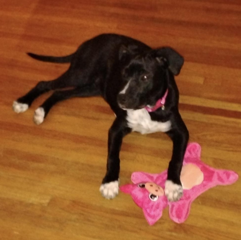Adeline photo 4