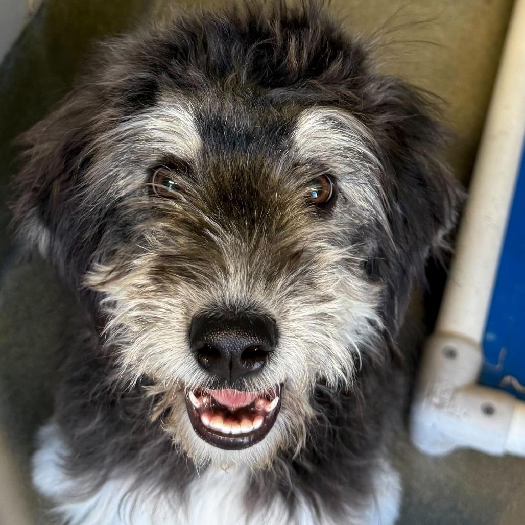 Anastasia thumbnail 2