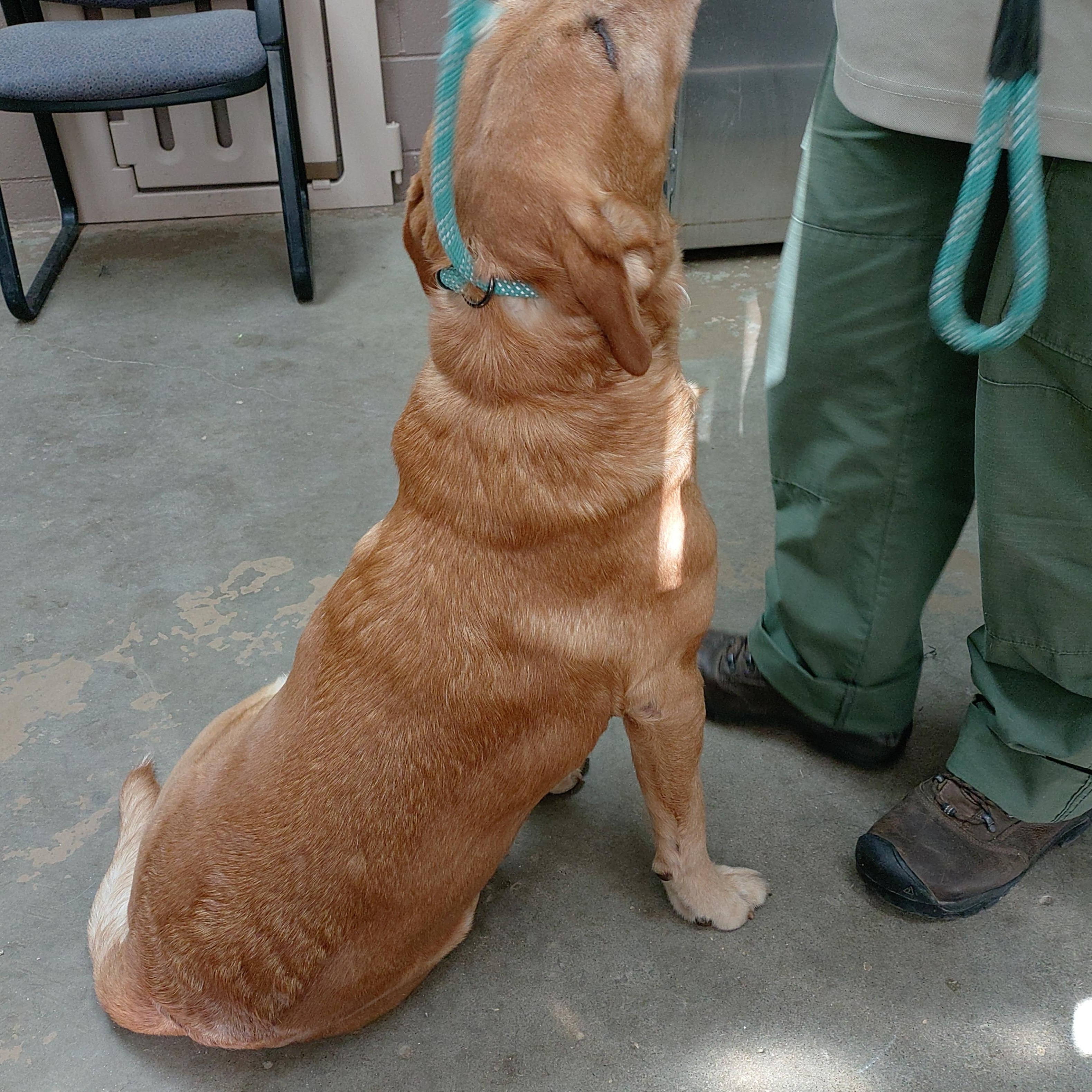 25-042 Available 4-11-25