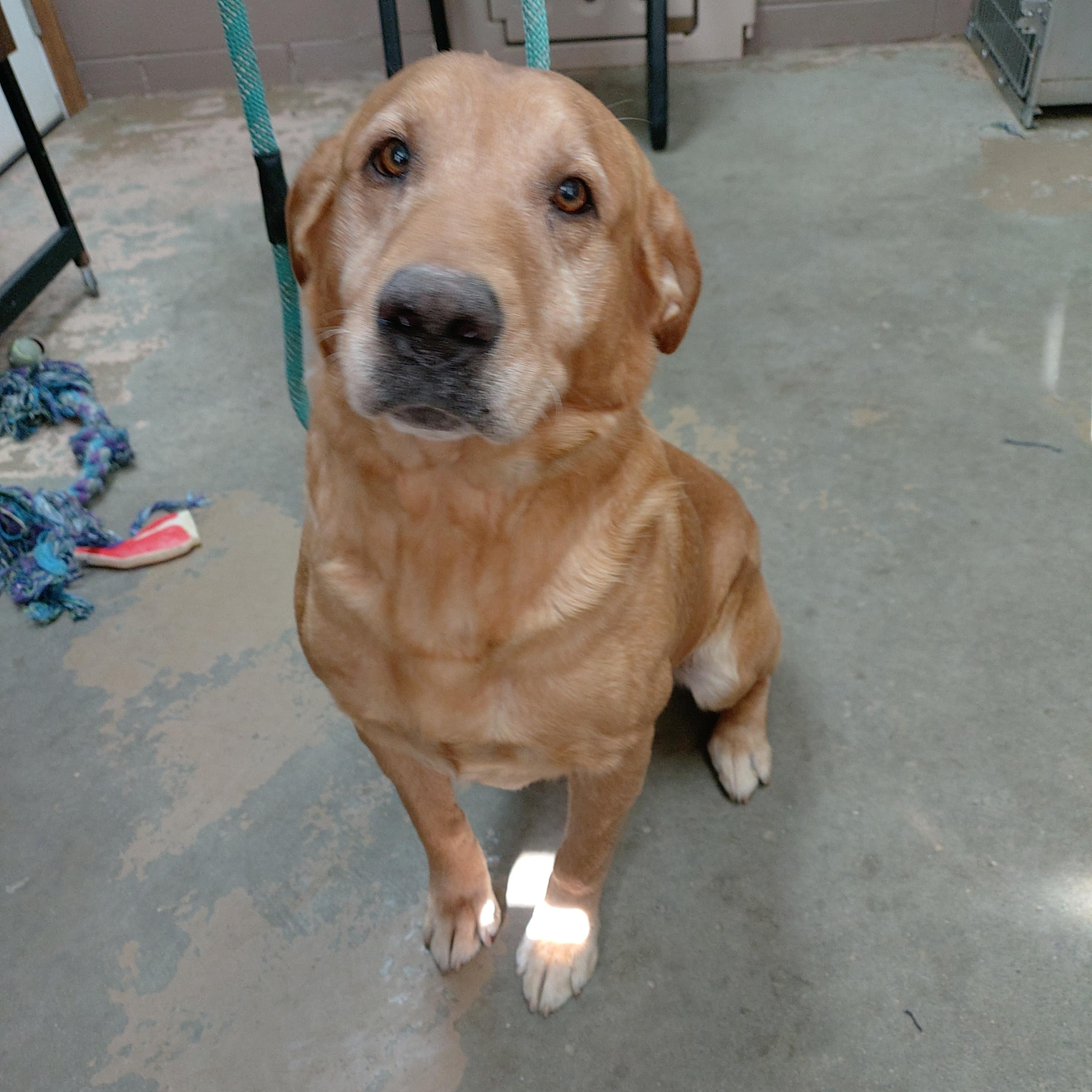 25-042 Available 4-11-25