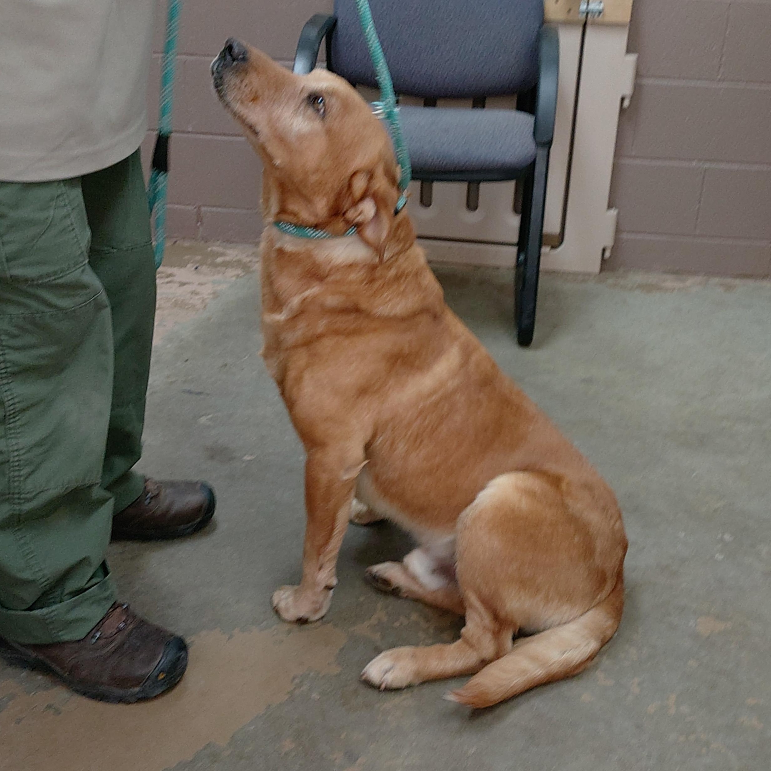 25-042 Available 4-11-25