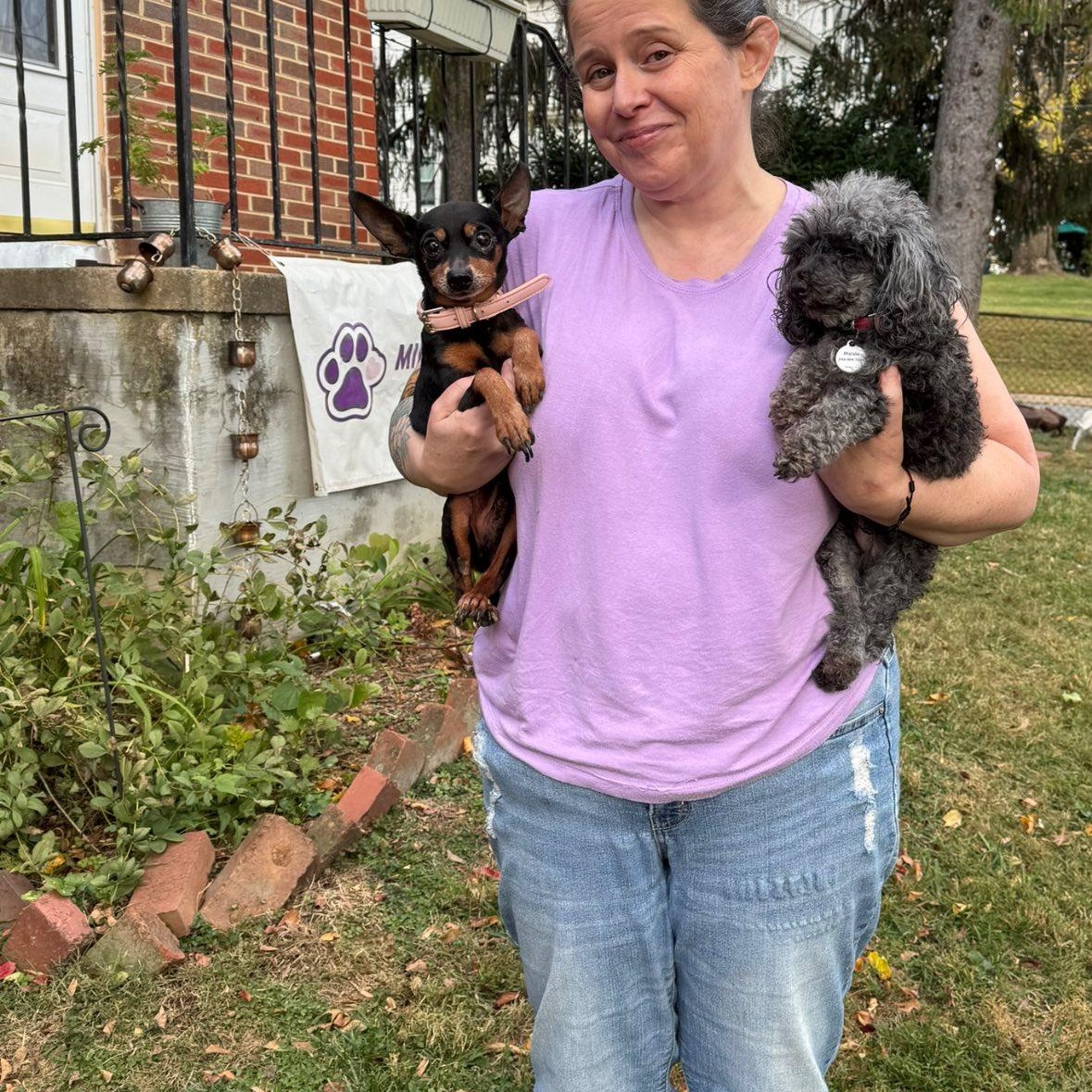Zipper, an adoptable Miniature Pinscher in Rockville, MD image 5/5