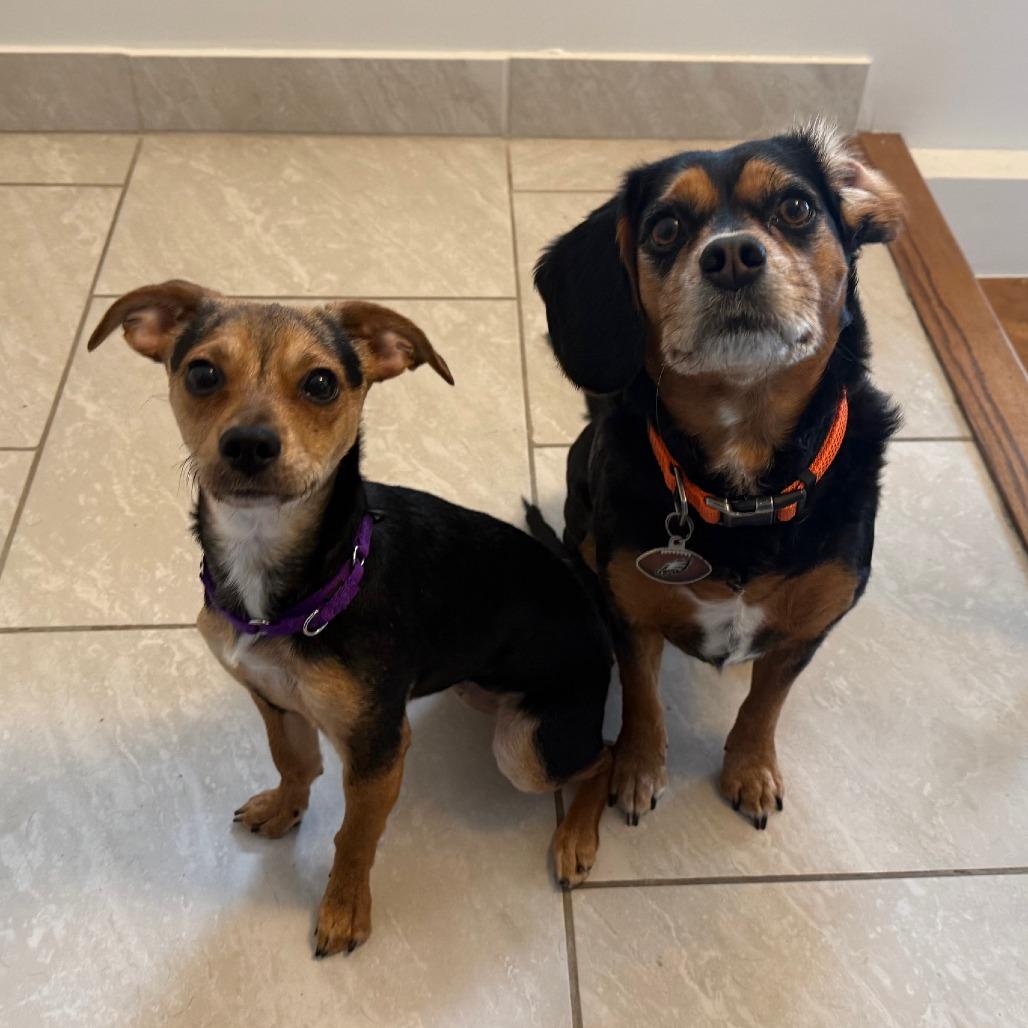 Sade — thumbnail 6