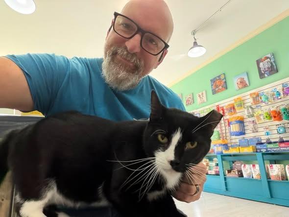 Enlarge Oreo, a Adoptable mixed breed in Kettering, OH image 3/6