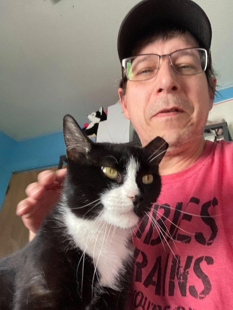 Enlarge Oreo, a Adoptable mixed breed in Kettering, OH image 6/6