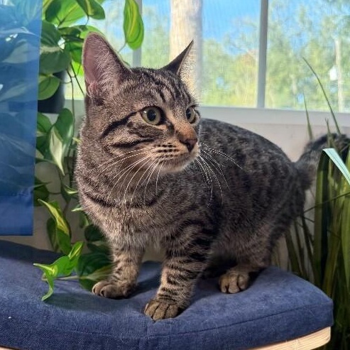 Fishbait Jerny — thumbnail 2