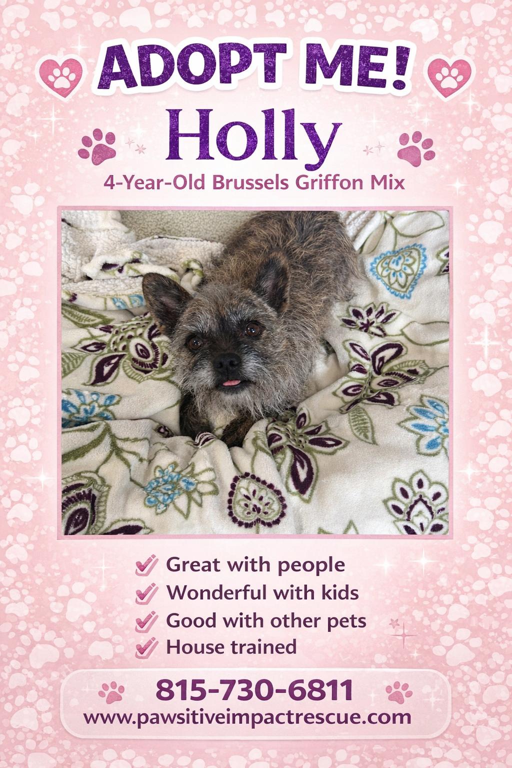 Holly, a ADOPTABLE mixed breed in Joliet, IL image 1/2