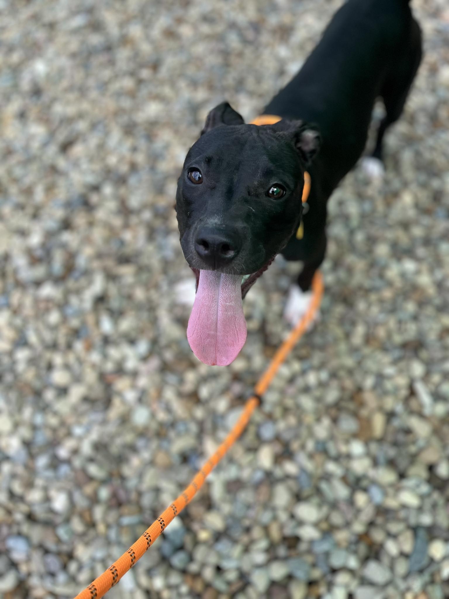Spunky