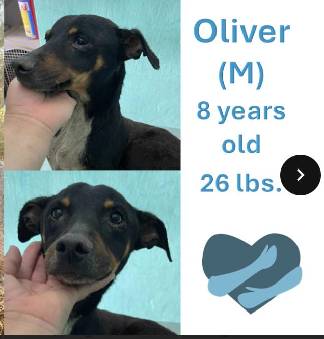 Oliver