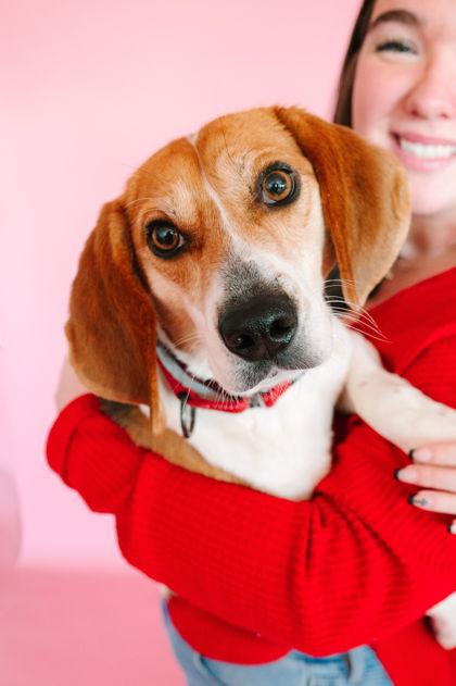 Enlarge Spirit, a Adoptable mixed breed in King William, VA image 3/3