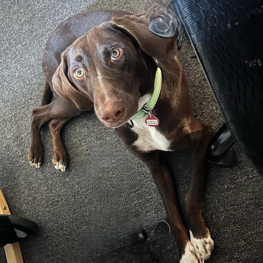 Nova Galaxy — thumbnail 6