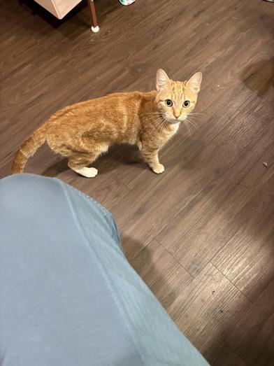 Todd — thumbnail 4