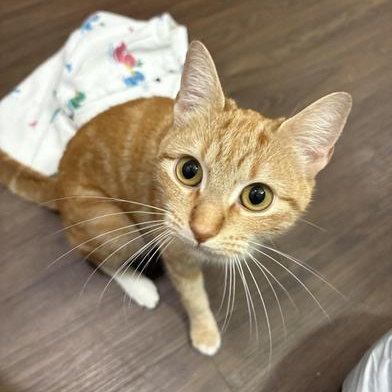 Todd — thumbnail 5