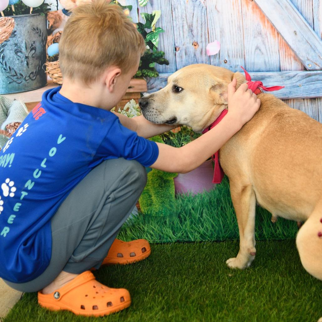 Dolly, a Adoptable mixed breed in Floresville, TX image 3/6