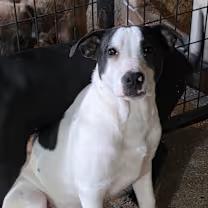 Wesley!! thumbnail 2