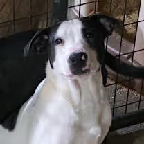 Wesley!! thumbnail 3