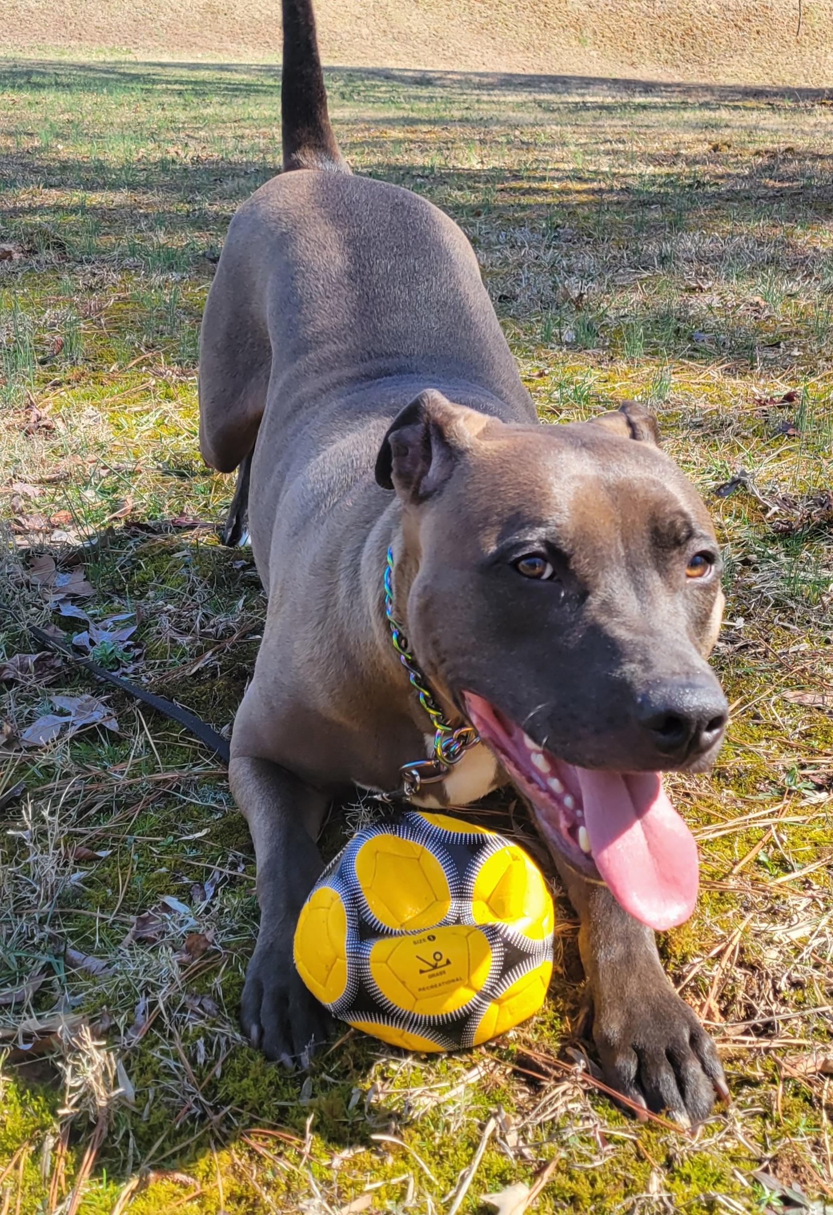 Darrell **Home for the Holidays 1/2 price!